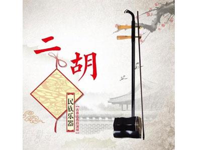 招聘红河二胡家教老师